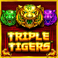 https://velozbet338.store//assets/img/games-image/vs1tigers.png