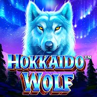 https://velozbet338.store//assets/img/games-image/vs576hokkwolf.png