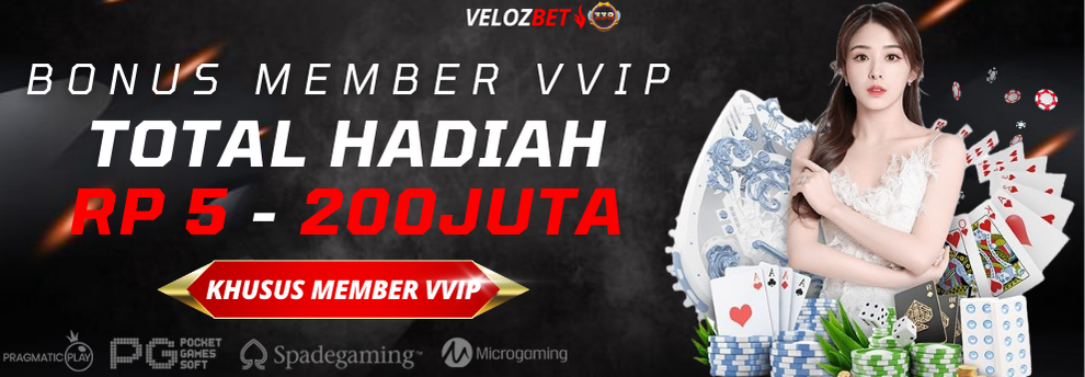 BONUS MEMBER VVIP	